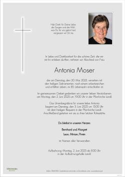 Parte von Antonia Moser
