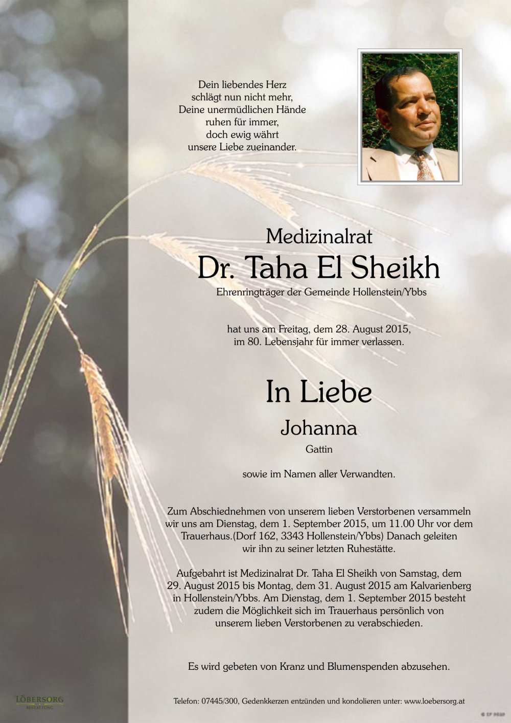 Parte von Dr. Taha El Sheikh